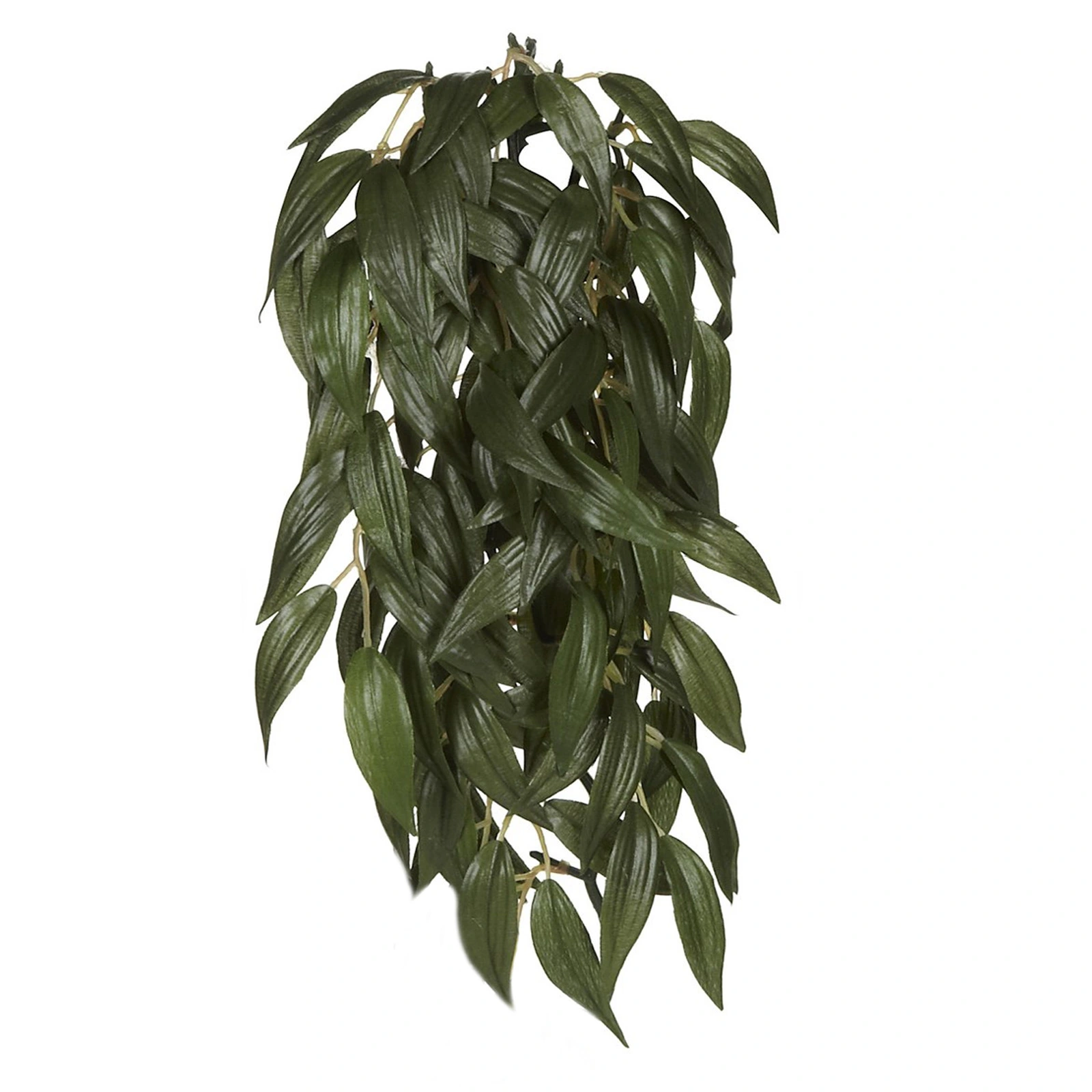 Exo Terra Ruscus medium